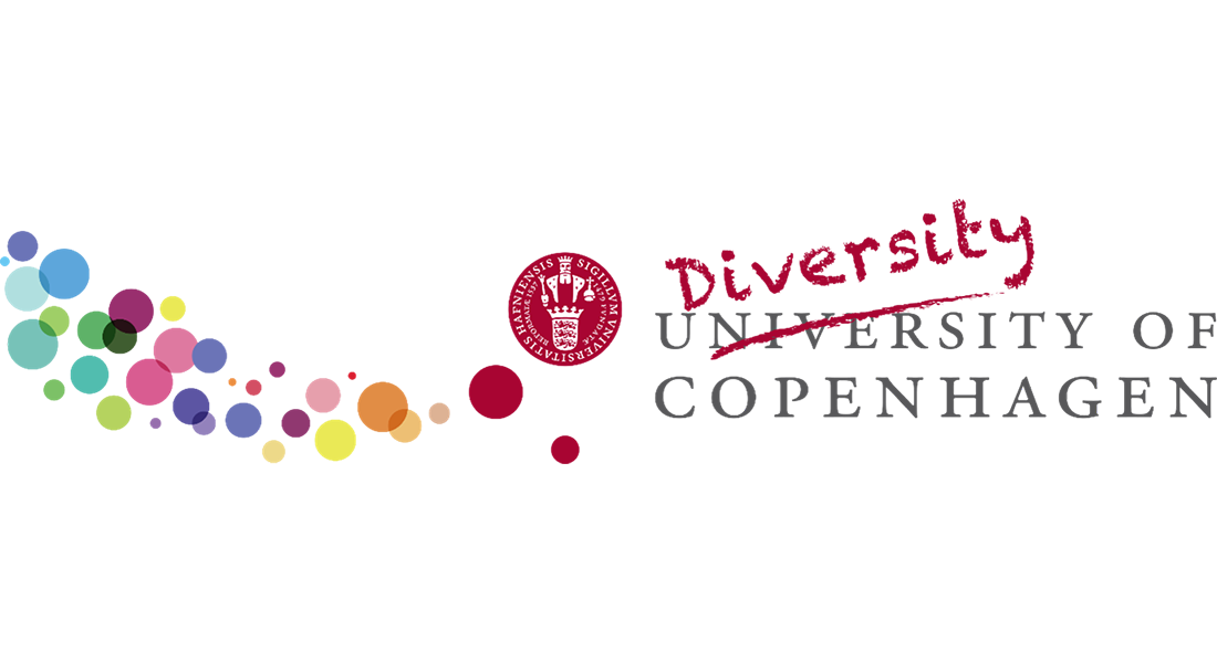 KU Diversity image